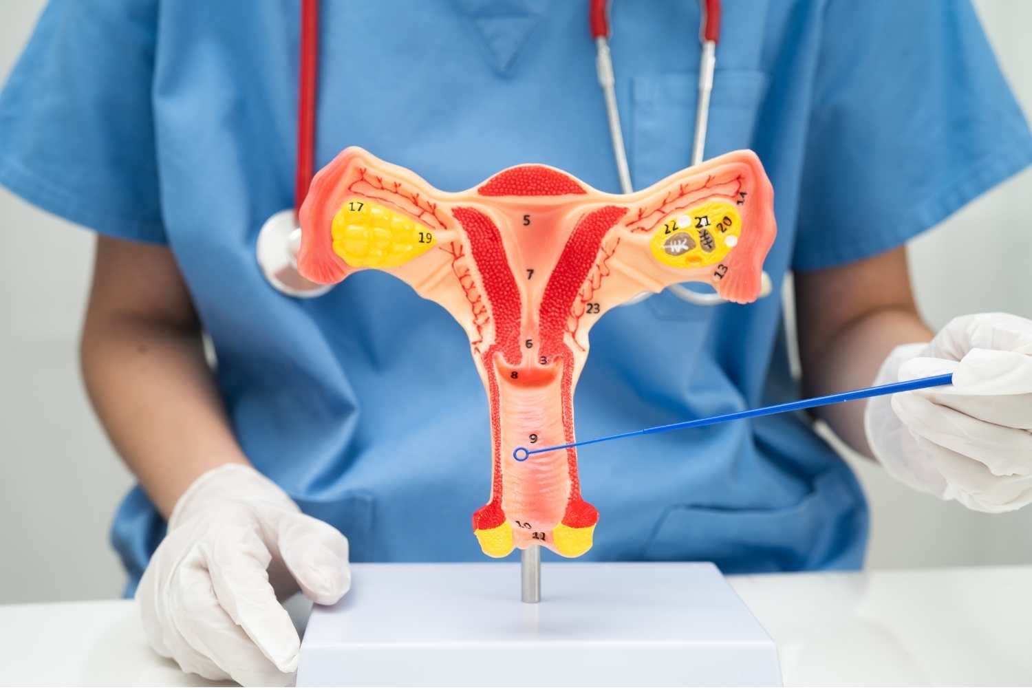 Best Gynecologist in Patna JIVANTA Best Gynecologist in Patna JIVANTA