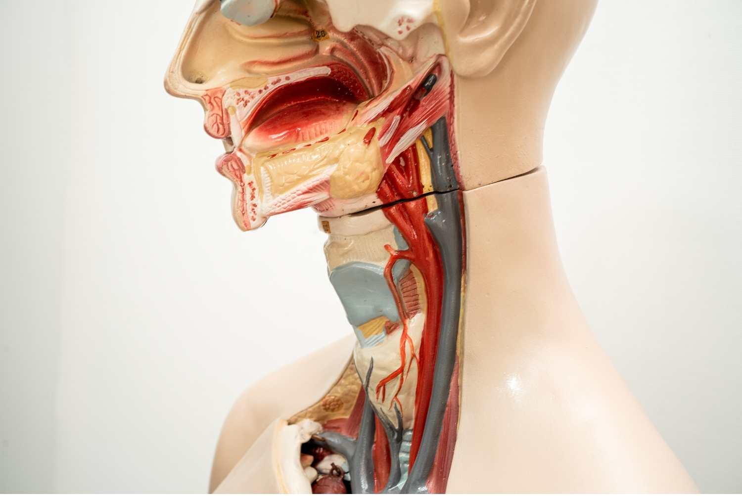 ENT Specialist in Patna Jivanta ENT Care