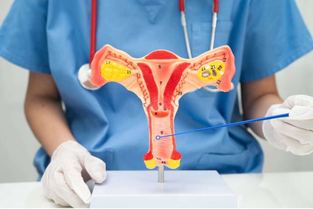 Best Gynecologist in Patna JIVANTA Women's Care