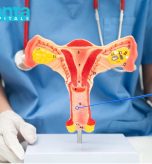 Jivanta Womens Care Gynecologist in Patna Jivanta Womens Care Gynecologist in Patna