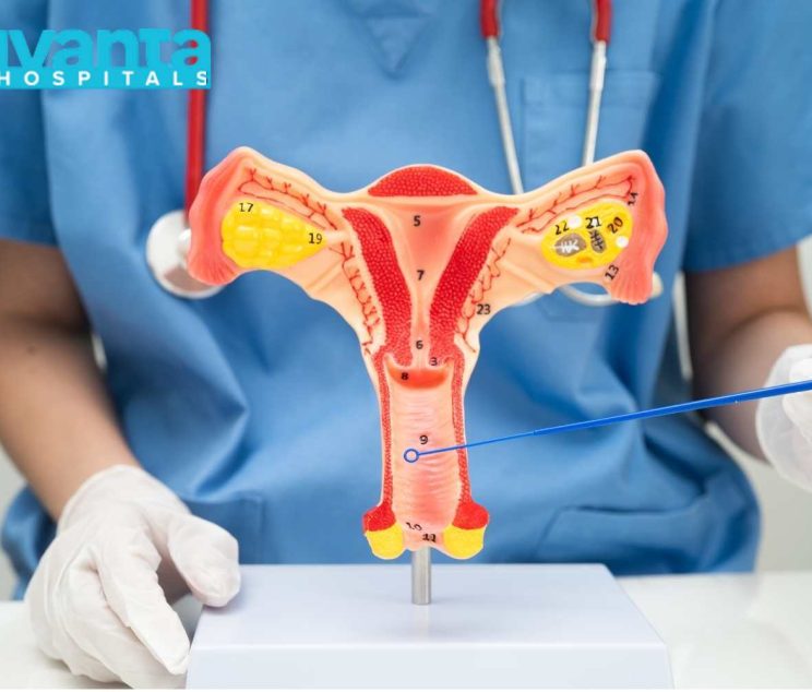 Jivanta Womens Care Gynecologist in Patna Jivanta Womens Care Gynecologist in Patna