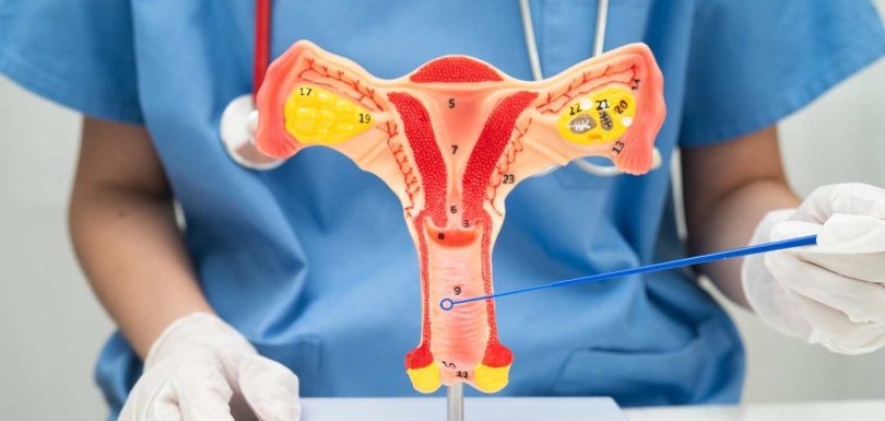 Jivanta Womens Care Gynecologist in Patna